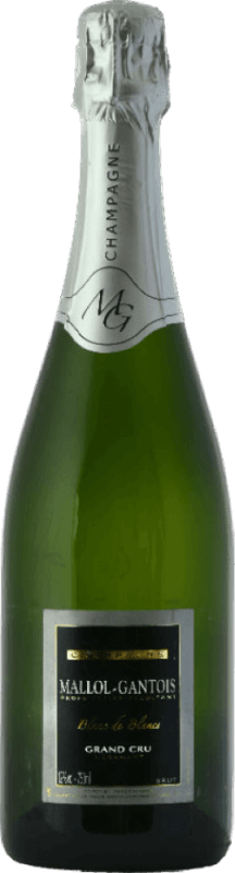 Brut Grand Cru Blanc De Blancs - Mallol Gantois
