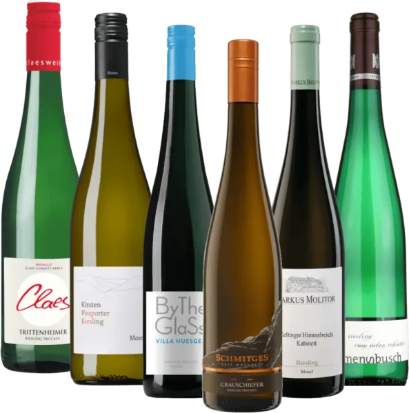 Riesling-Reise entlang der Mosel