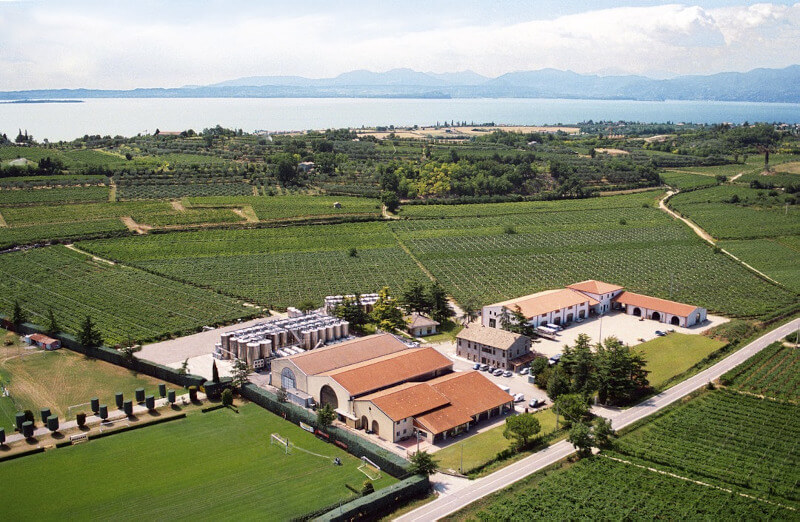 cantina-delibori-vigneto cantina-delibori-vigneto