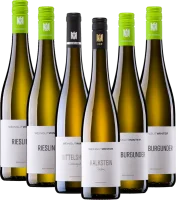 Vorschau: I bestseller della cantina Winter - Pacchetto di 6 incontri introduttivi