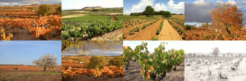 Casa Bodegas y Vinedos Valderiz