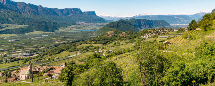 Vigneti dell'Alto Adige