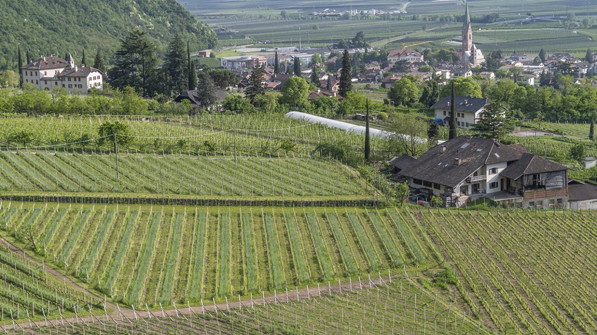 Terlan in Südtirol