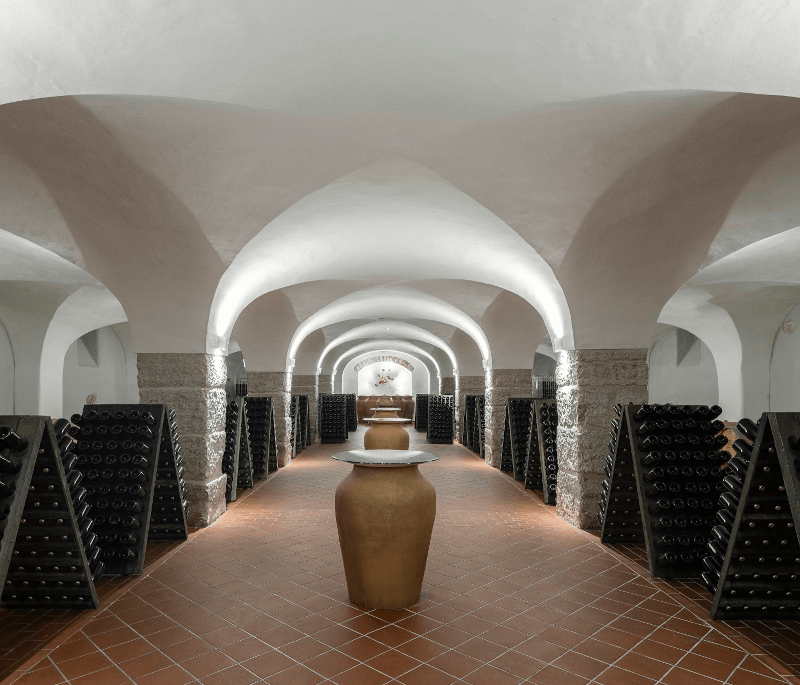 Salizzoni Vino