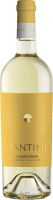 Chardonnay Terre di Chieti IGT - Fantini