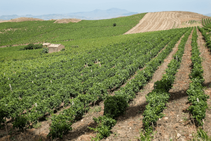 Le colline di Trapani