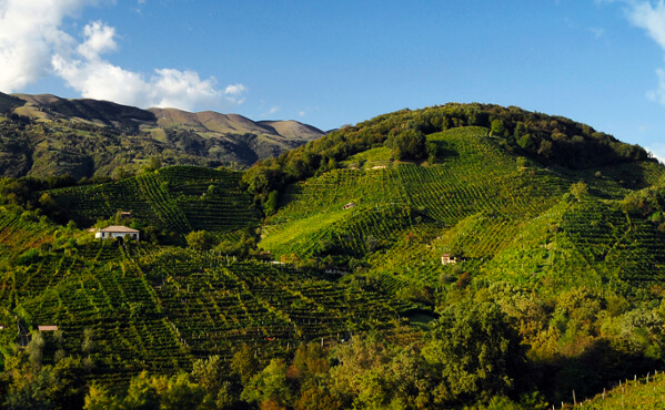 Le colline di Valdobbiadene