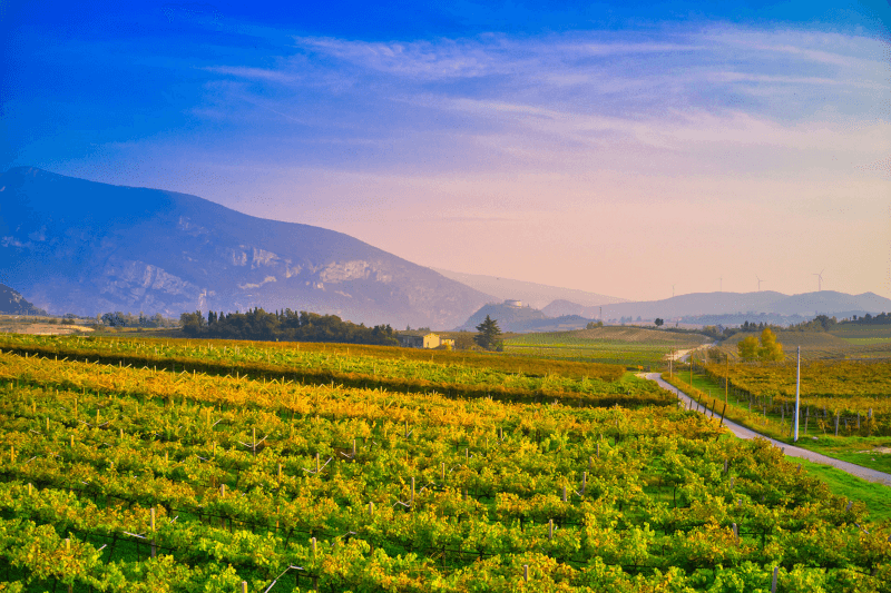 Paesaggio in Valpolicella