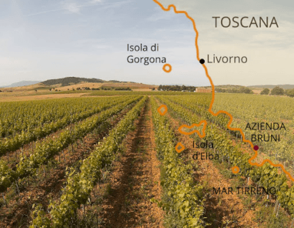 Regione Azienda Agricola Bruni