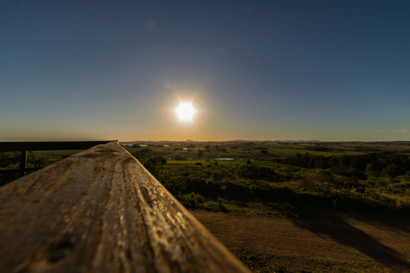 Tramonto sui vigneti in Uruguay