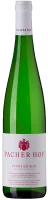 Pinot Grigio DOC - Pacherhof