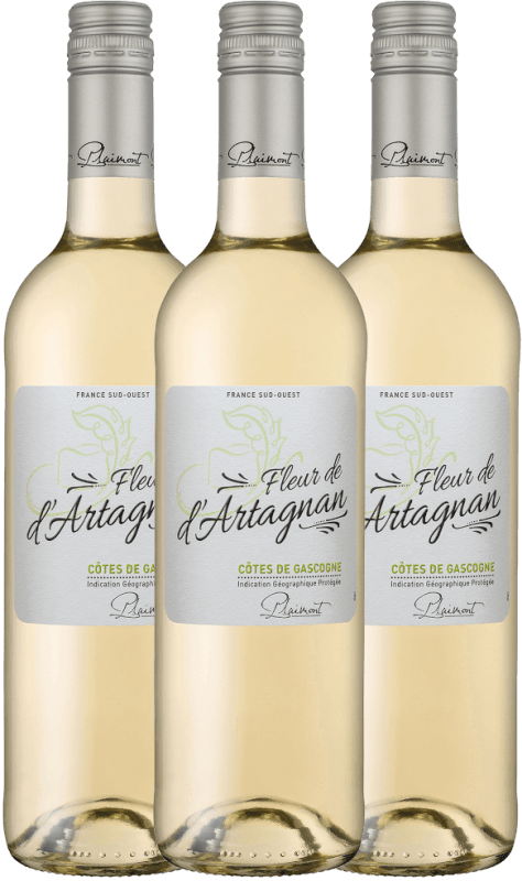 3er Vorteils-Weinpaket - Fleur de d'Artagnan Blanc - Plaimont