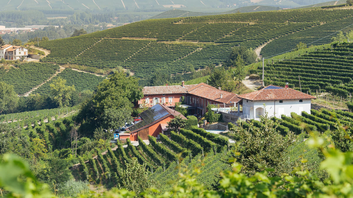 Cantina Manzone - Panorama