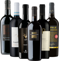Vorschau: I migliori campioni di Primitivo di VINELLO - confezione degustazione 12x