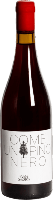 Come Un Pino Nero - Le Vigne Di San Pietro