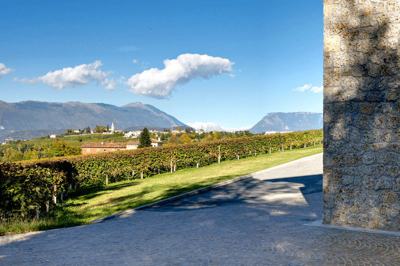 La tenuta La tenuta