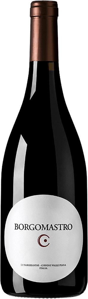 Aglianico Borgomastro Colli di Salerno IGT - Lunarossa Vini