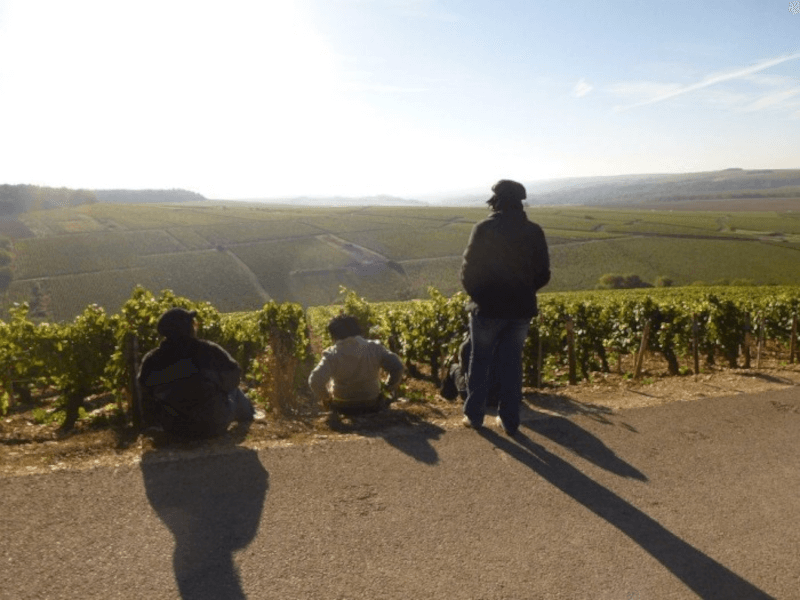 Vigneti Domaine Servin