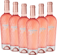 Vorschau: Sessantanni Primitivo Rosé Salento IGP - Cantine San Marzano - 6x Vorteilspaket