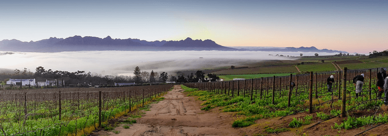 DeMorgenzon im Nebel