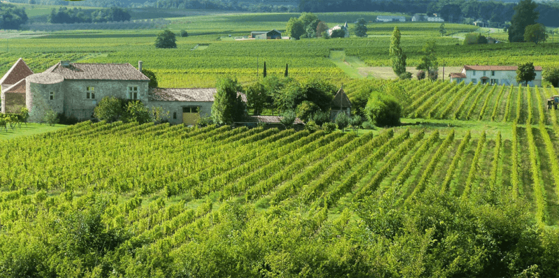 Les Vignobles Terroir