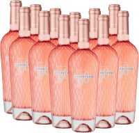 Vorschau: Sessantanni Primitivo Rosé Salento IGP - Cantine San Marzano - 12x Vorteilspaket