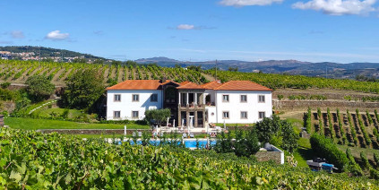 L’origine di pregiati vini di Porto: Quinta do Portal