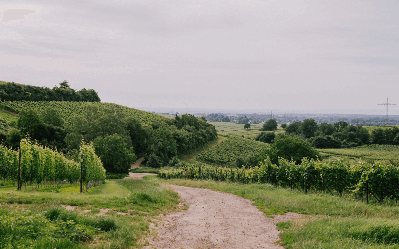 Villa Hochdorffer Landschaft