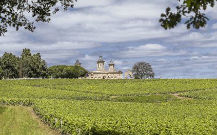 I vigneti intorno allo Château I vigneti intorno allo Château