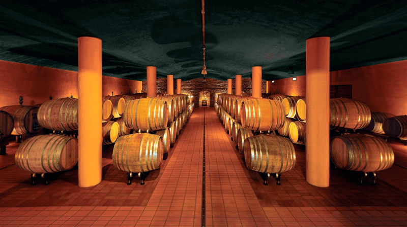 Nella cantina di Talenti Nella cantina di Talenti