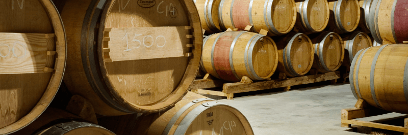 Bodegas y Vinedos Valderiz Invecchiamento in botte in cantina