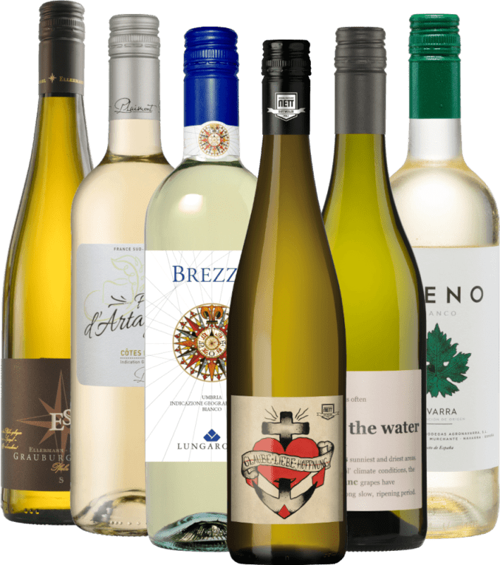 VINELLOs beste Weißweine - 6x Topsellerpaket