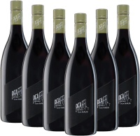 Vorschau: Vom Haus Zweigelt - Weingut Pfaffl - confezione vantaggio 6x