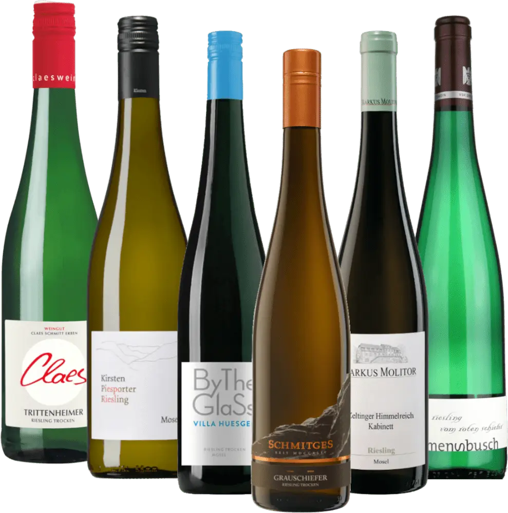 Viaggio del Riesling lungo la Mosella