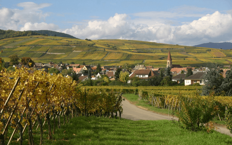 Weingut Andre Stentz Weingut Andre Stentz