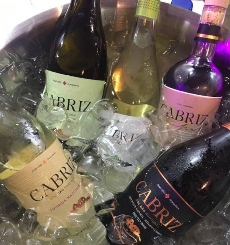 weingut-cabriz-weinberg-2 weingut-cabriz-weinberg-2