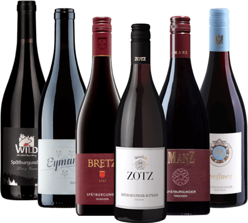 I migliori Spätburgunder della Germania - confezione assortita di 6 vitigni