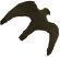 Turmfalke