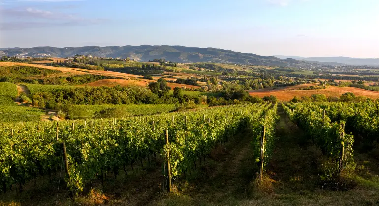 Viaggio di piacere attraverso l’Umbria con Lungarotti - 6x pacchetto di degustazione