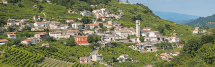 Le colline della regione del Prosecco Le colline della regione del Prosecco
