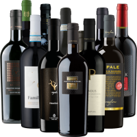 Vorschau: I migliori campioni di Primitivo di VINELLO - confezione degustazione 12x