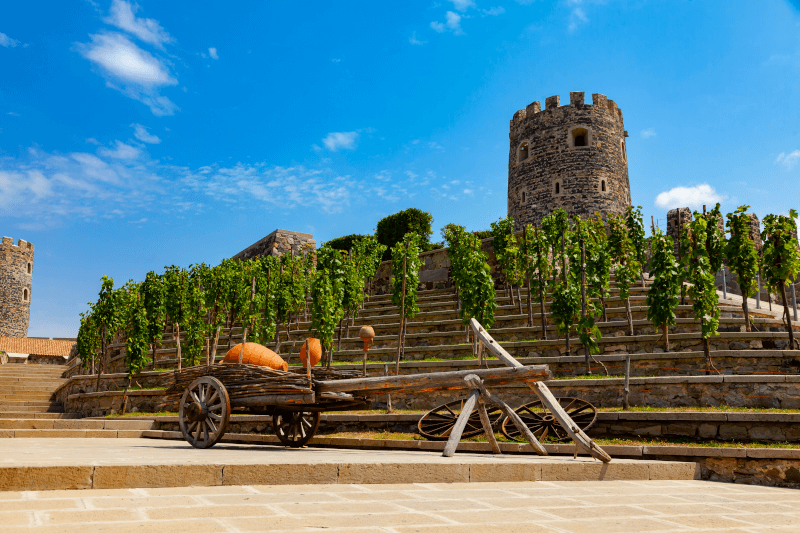 Cantina del Castello Rabati ad Akhaltsikhe, Georgia