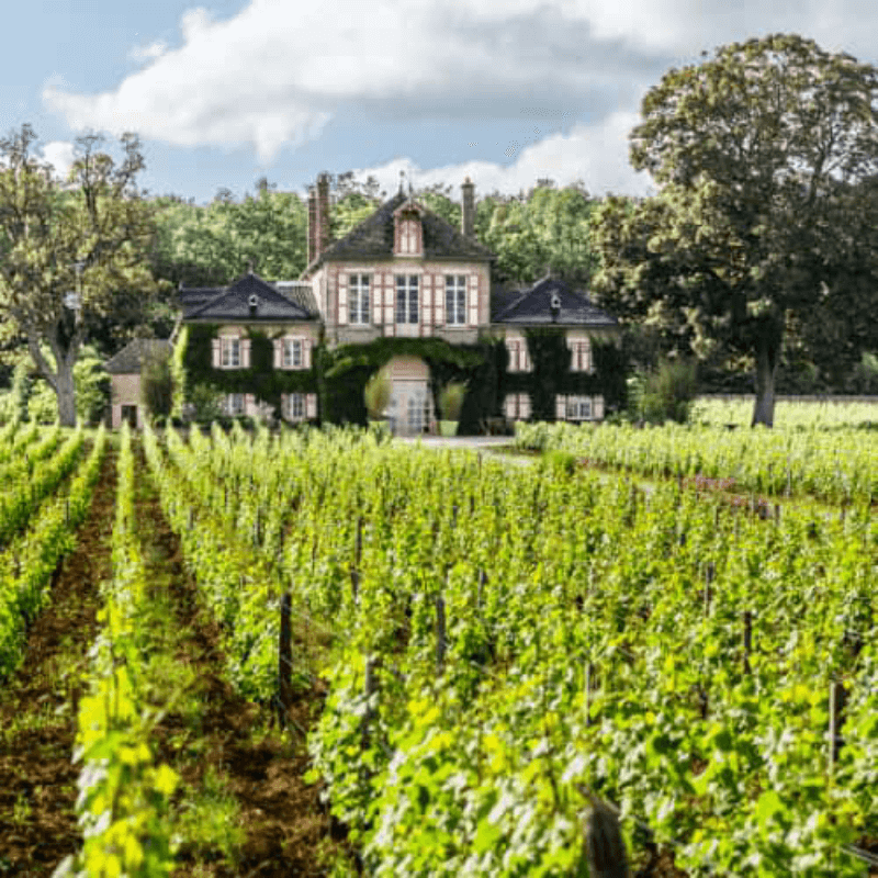 Domaine d Ardhuy Haus
