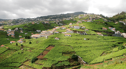 Il tipico poios di Madeira