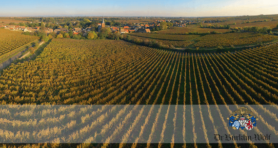 Dottor Bürklin-Wolf