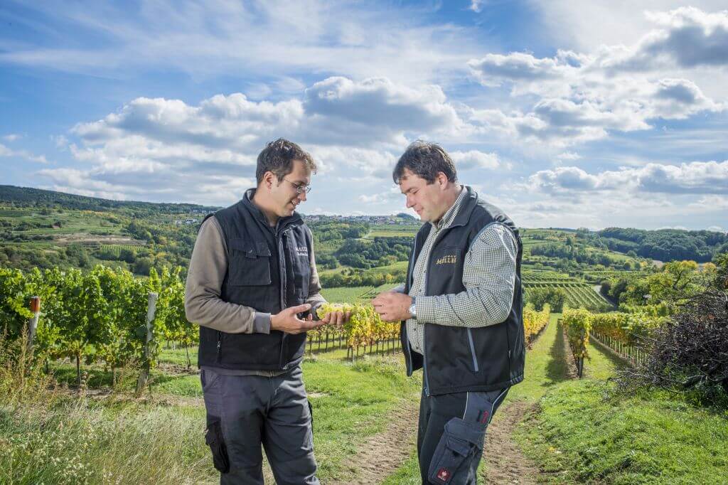 Cantina_Muller