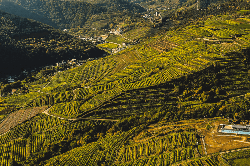 Weingut Nigl Lagen Senftenberger Piri
