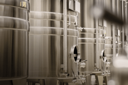 Serbatoi d'acciaio nella cantina