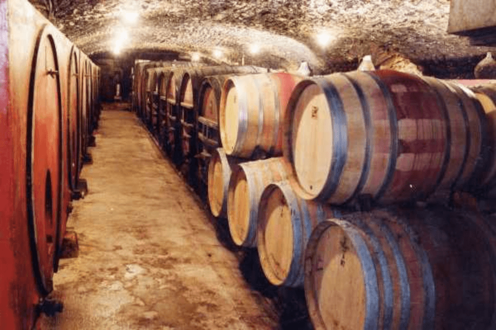 Laurent Perrachon Weinkeller