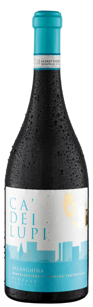 Vorschau: 4x Vorteils-Weinpaket Falanghina del Sannio DOC - Ca' Dei Lupi